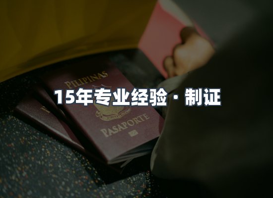 证件页面制证展示